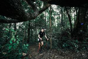 BIB: 
                            <button type="button" onclick="openModal(25390580)" class="btn btn-primary btn-sm float-right btn-popup" data-toggle="modal" data-target=".modal-high-quality">
                        <i class="fas fa-shopping-cart"></i> Add to Cart
                    </button>
                                            <button type="button" onclick="isThisMe(25390580, true)" class="btn btn-success btn-sm float-right btn-popup btn-isme hidden" data-toggle="tooltip" data-placement="bottom" title="นี่คือรูปของคุณใช่ไหม คลิกที่นี่เพื่อเอาเข้าอัลบั้ม">
                        <i class="fas fa-plus"></i> Add to album
                    </button>
                    <button type="button" onclick="isThisMe(25390580, false)" class="btn btn-warning btn-sm float-right btn-popup btn-isnotme hidden">
                        <i class="fas fa-ban"></i> Remove from album
                    </button>